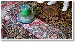 cleaning-oriental-rugs